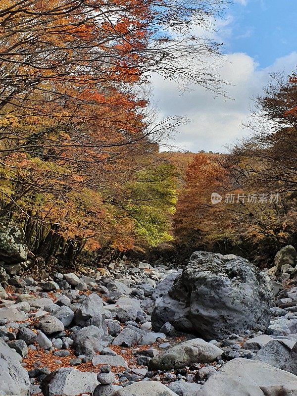 韩国济州岛的秋季景观