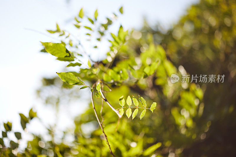 秋天的季节