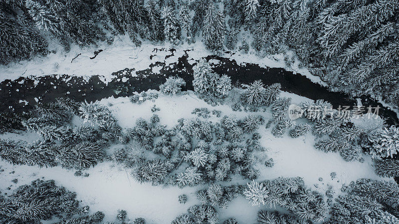 景区鸟瞰图松树山森林魔杖河期间降雪和暴风雪