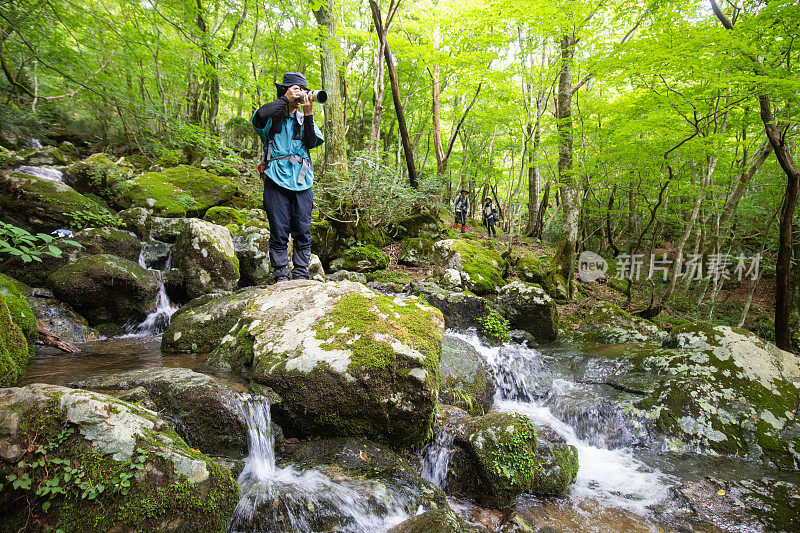 一位摄影师在郁郁葱葱的山涧中停下来拍照