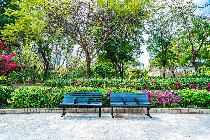 香港天水围公园内的小路