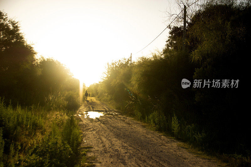 日落的乡间小路