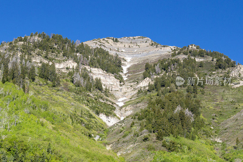 犹他州圣丹斯和Timpanogos山附近春季徒步旅行山上的最后一场雪