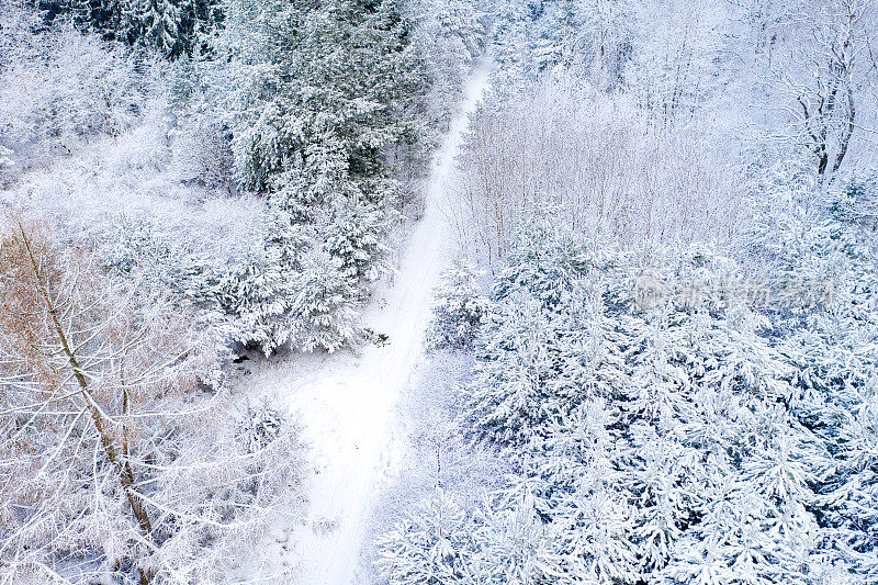 鸟瞰被冰雪覆盖的森林包围的道路。