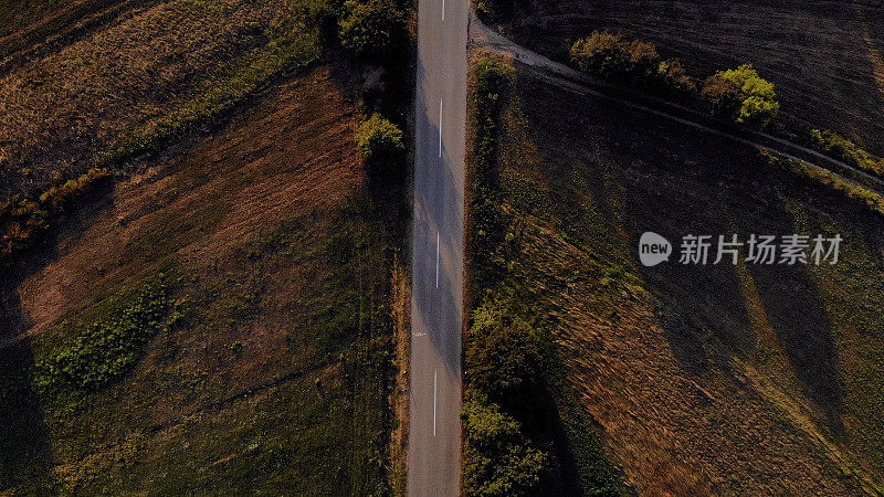 鸟瞰图，一辆红色的汽车沿着一条两侧是森林的道路行驶