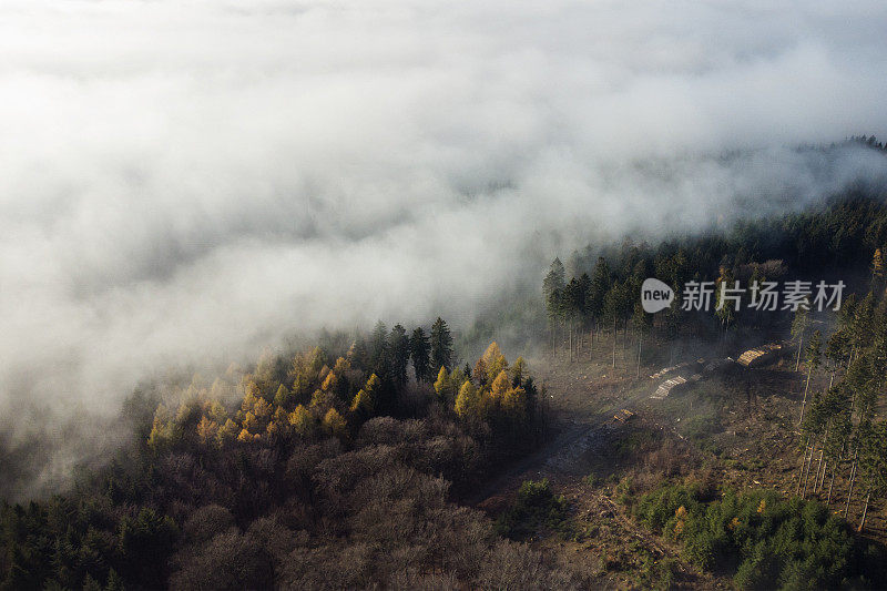 雾和阳光在秋天森林地区-陶诺斯山。鸟瞰图