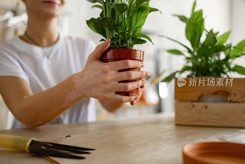 一个不知名的年轻白人妇女在家里照顾她的植物的特写