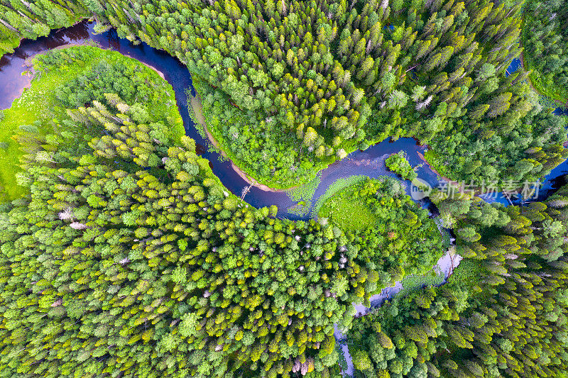 森林和蜿蜒的河流。用无人机航拍。