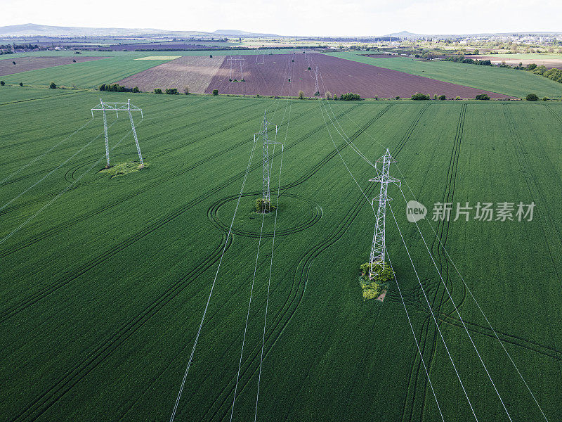 绿色麦田中的电杆鸟瞰图。可再生能源。