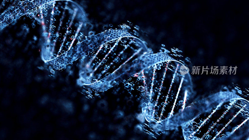 DNA。人工智能技术概念