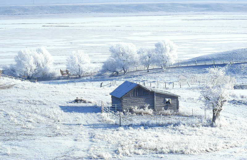 爱达荷州的冬季景色