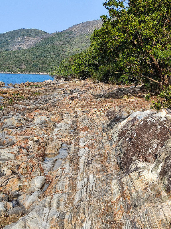 香港荔枝庄的古岩层