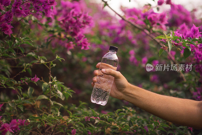 自然中的塑料水瓶