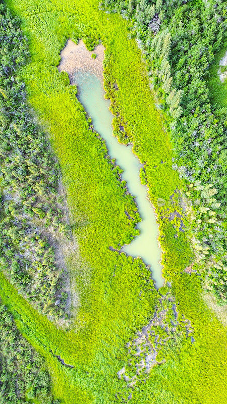 无人机在阿拉斯加内陆的荒野上空飞行