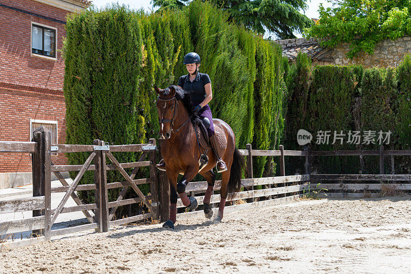 骑马课上的小女孩骑着一匹漂亮的纯种马