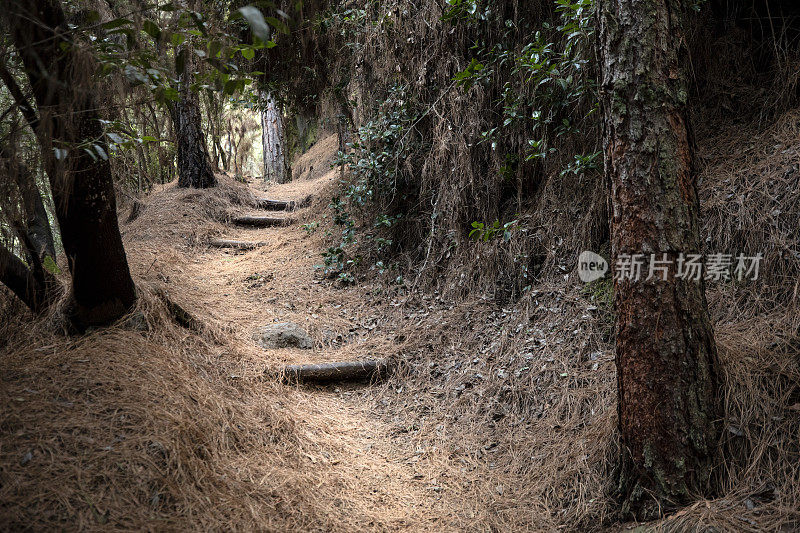 空无一人的远足径