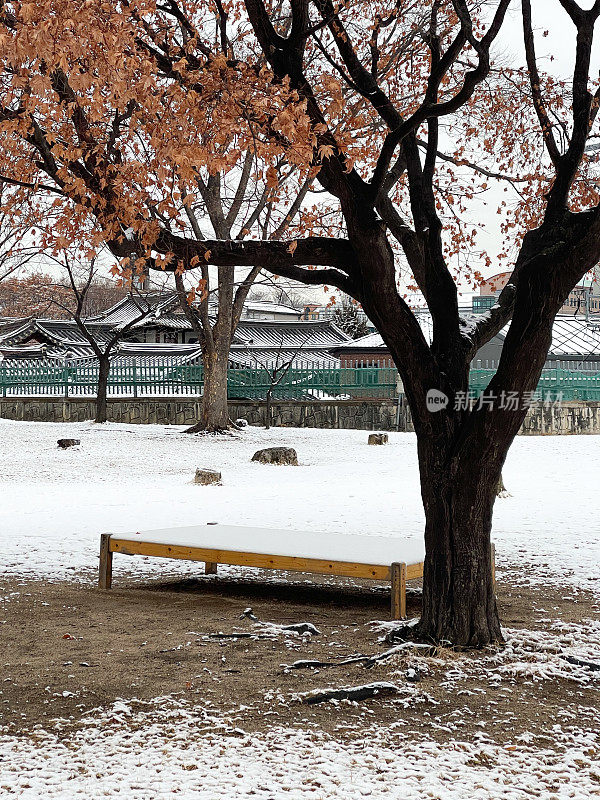 白雪覆盖的花园