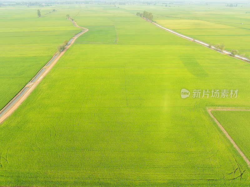 泰国富饶的绿色稻田之一。无人机从高角度拍摄有一条小路和一条河流穿过。在这个城市里，农民们等待着收成出口到国外
