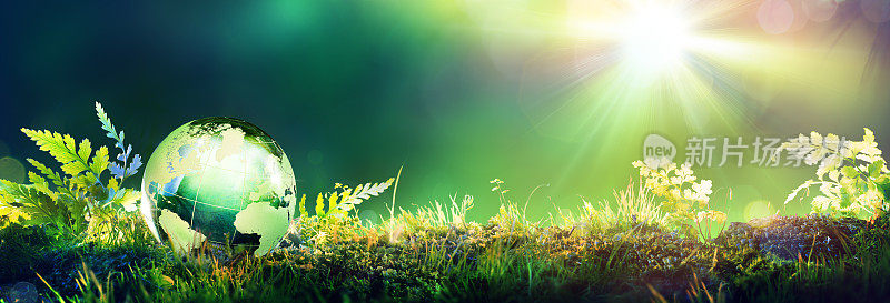 苔藓上的绿色地球-环境概念