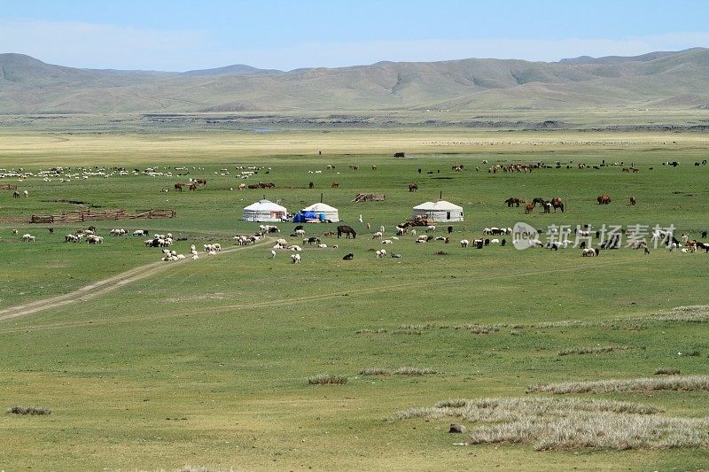 蒙古人部落