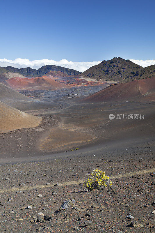 哈雷阿卡拉火山口,毛伊岛