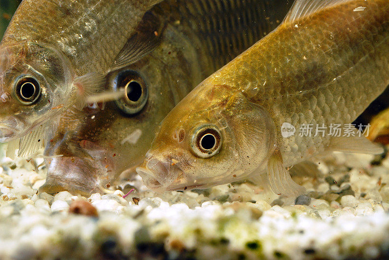 水族馆