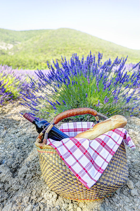 法国野餐在普罗旺斯薰衣草田