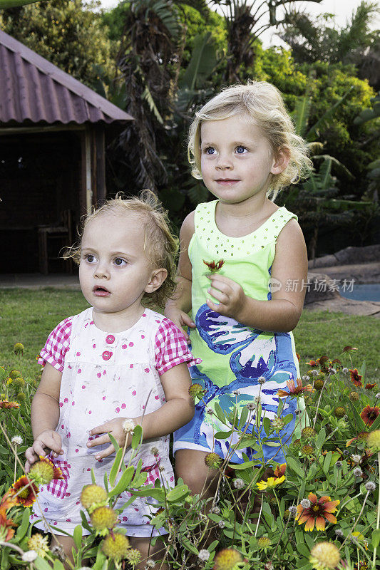小女孩们站在雏菊丛中