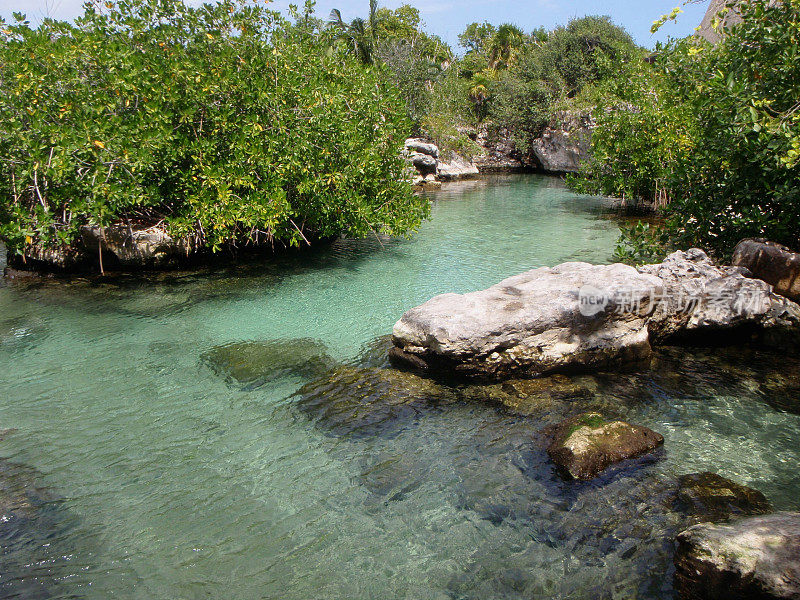 墨西哥Xcaret生态公园的海龟泻湖。