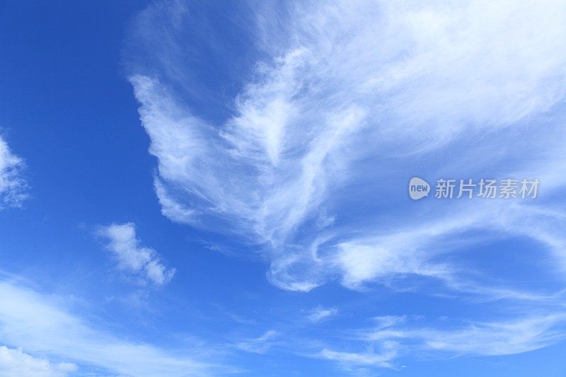 蓝天和卷云-团圆