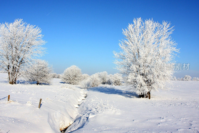 雪景