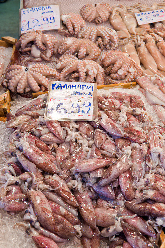 雅典中心市场的一个摊位上放着鱿鱼