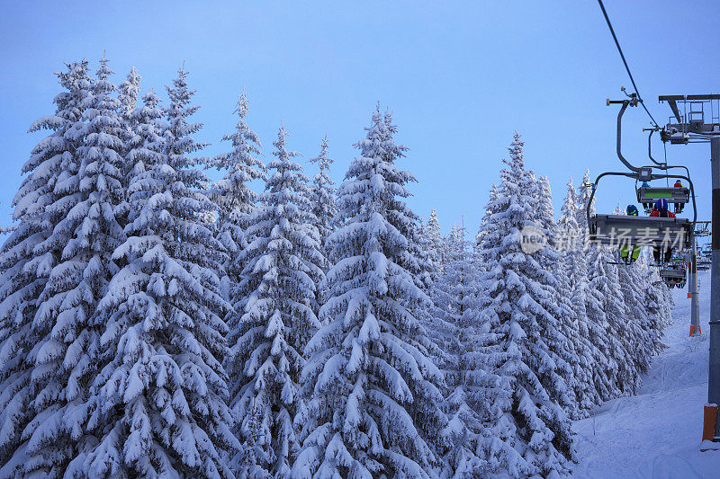 冬季的针叶林雪树从滑雪缆车的滑雪者的观点