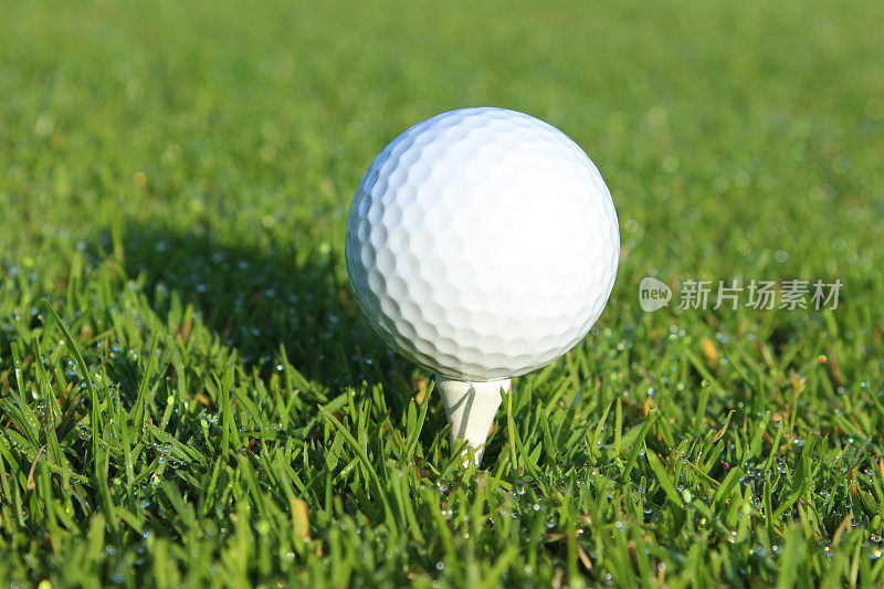 高尔夫球在球座上的图像，高尔夫球场的球道草