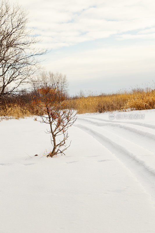 乡村冬季的雪地摩托小径