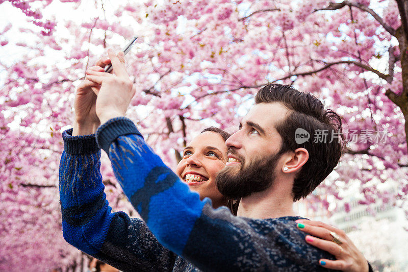 一对年轻夫妇在一棵美丽的樱桃树下相爱