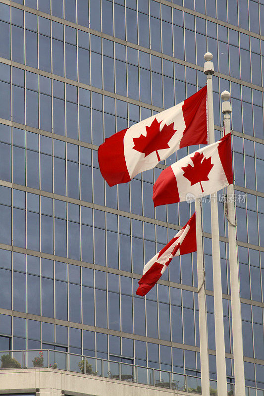 三个加拿大国旗