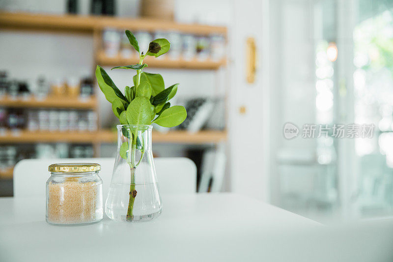 咖啡厅白桌上花瓶里的新鲜植物