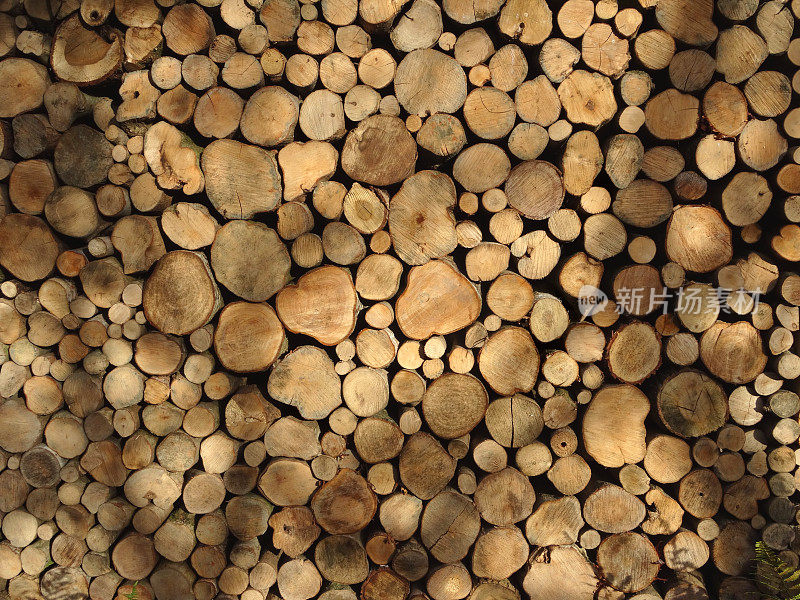 形象的木柴堆，干燥和干燥