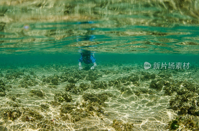 孩子们正在探索考艾岛受损的珊瑚礁