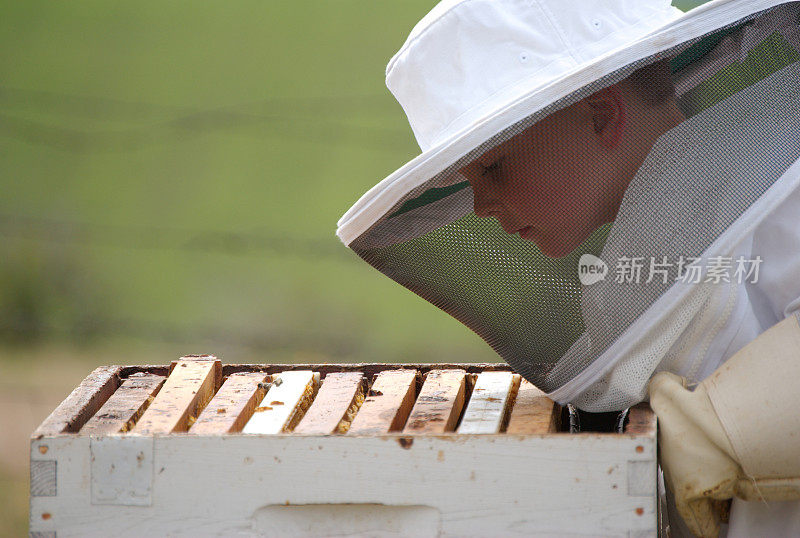 男孩养蜂人在寻找空蜂巢