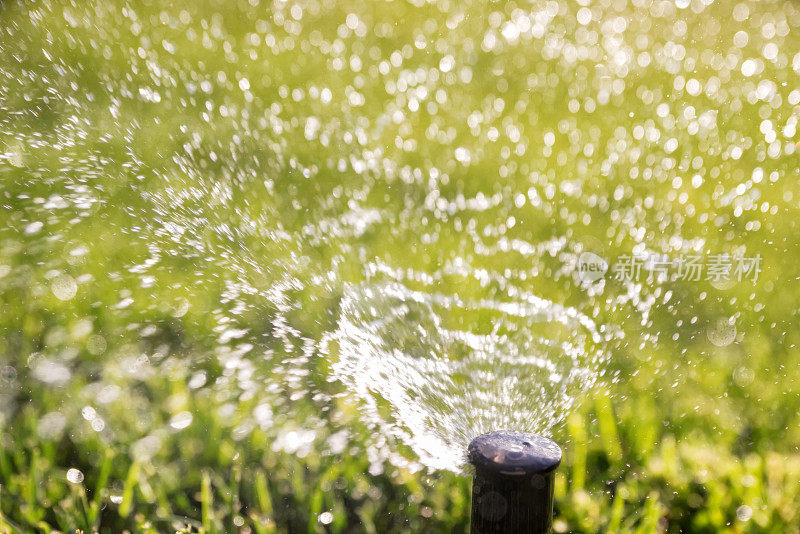 洒水喷头