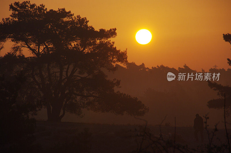 荒野的清晨景象