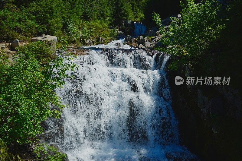 雷尼尔山的阳光溪