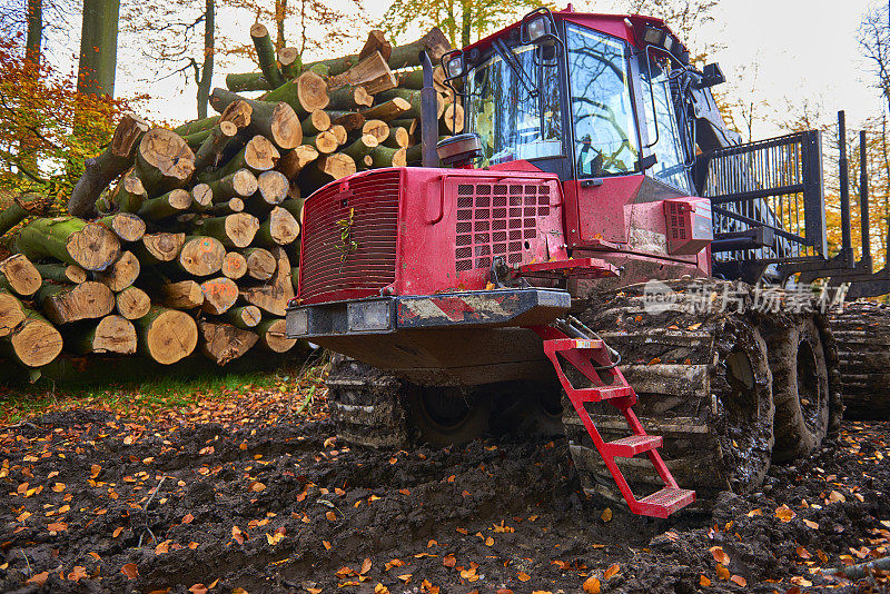 森林里的拖拉机
