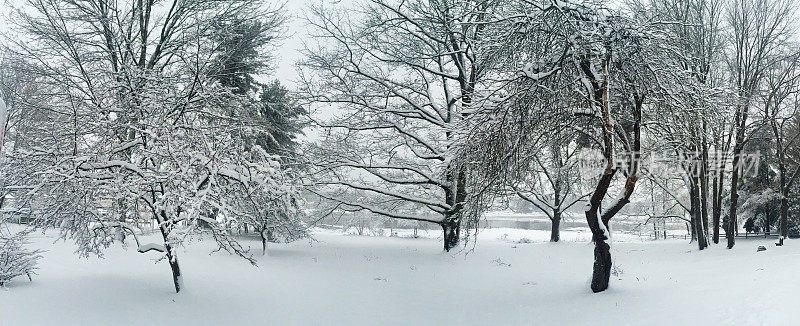 下雪的景色