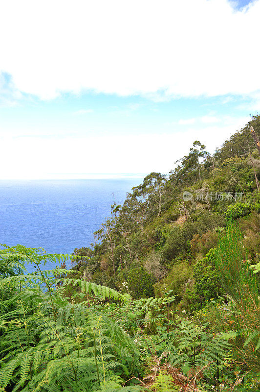 马德拉岛北部海岸，靠近波尔图-达-克鲁兹