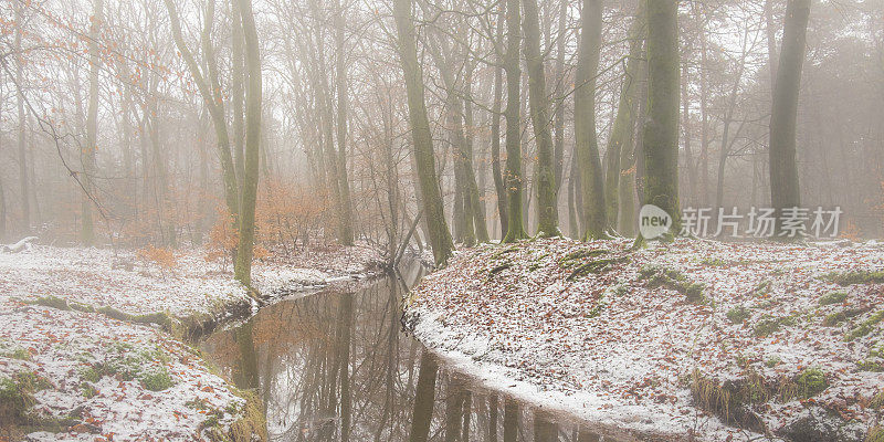 在一个寒冷多雾的冬天，在森林里小溪