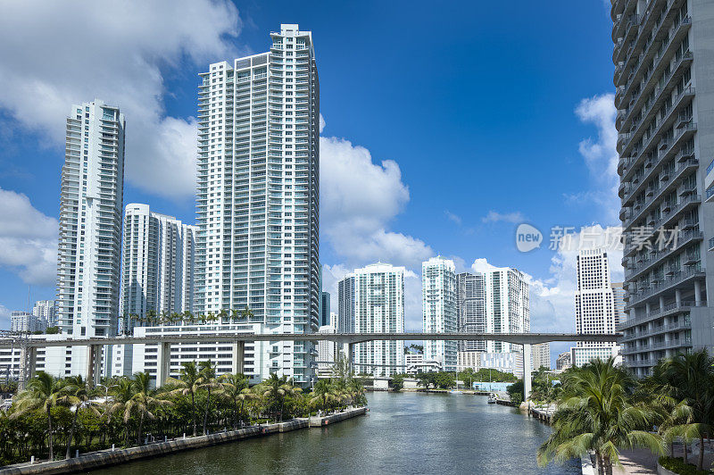 迈阿密河城市景观与公寓高耸在棕榈树之上