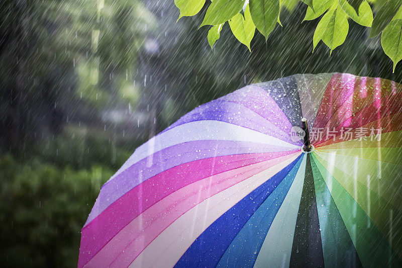雨霏霏，五颜六色的雨伞在雨天